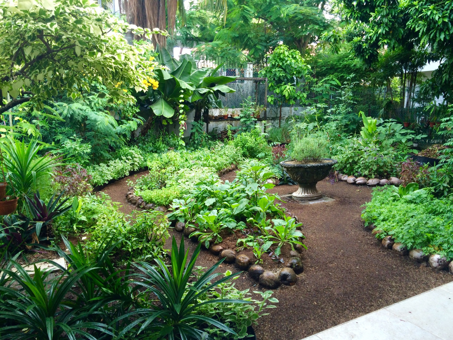 Diving into Urban Permaculture in 2 Days - Carbon InQ on Permaculture Garden Design
 id=76134